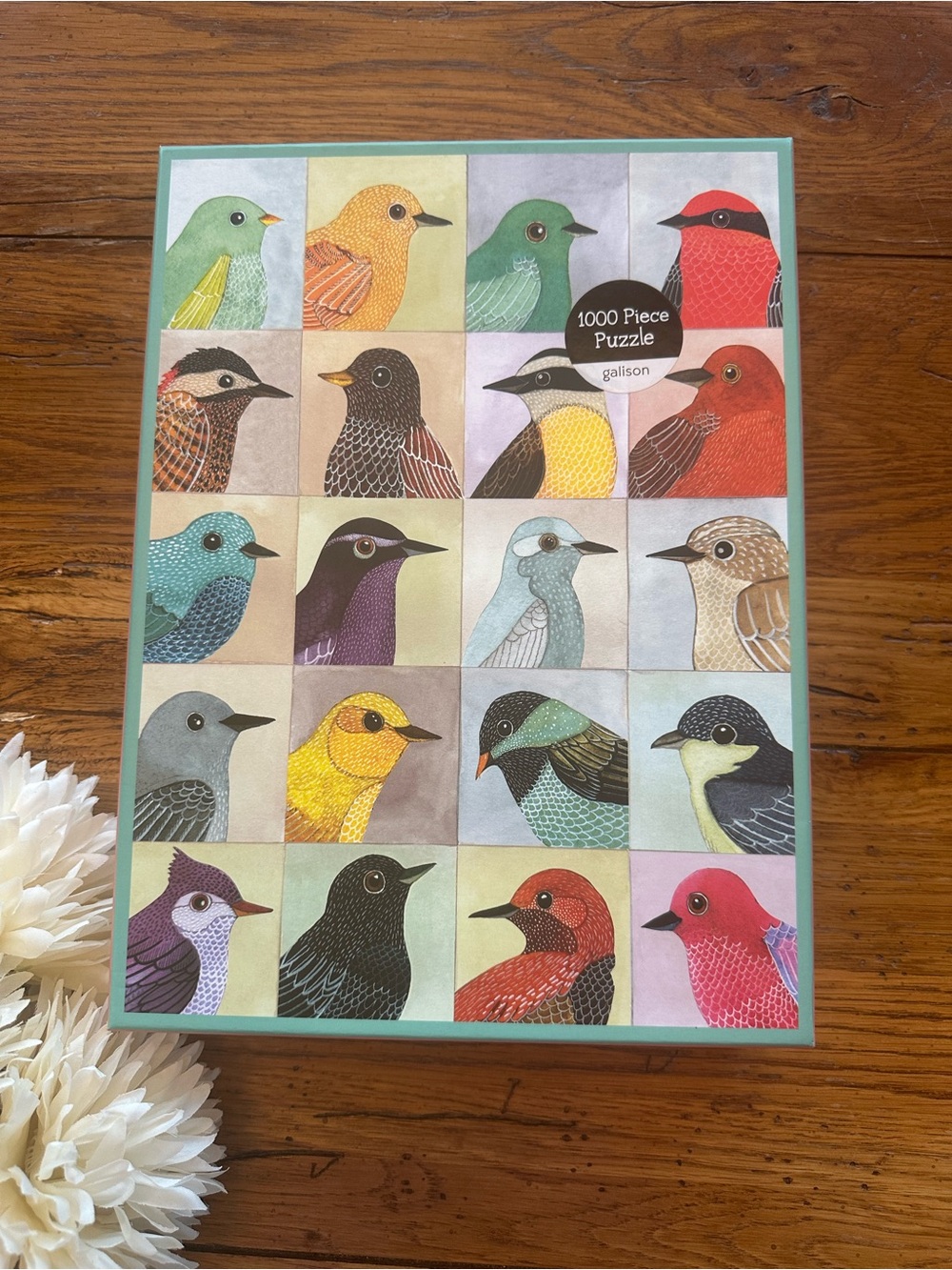 Galison Avian Friends 1000 Piece Puzzle New